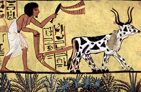 agriculture_egypteancienne.jpg