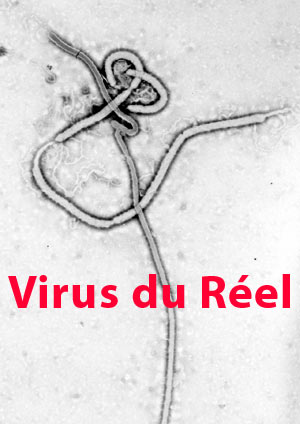 ebola_virus_reel.jpg